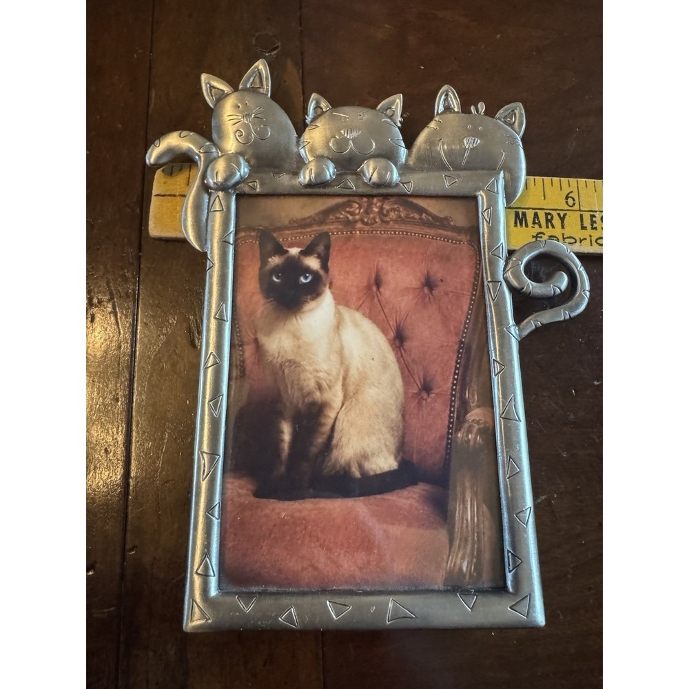 Sonoma Cat Picture Frame 3.5x5 Pewter Tone Whimsical Kitten Decor